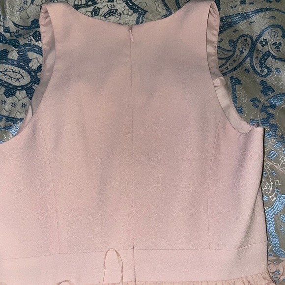 Aidan By Aidan Mattox Blush Fringe Dress - Picture 3 of 5